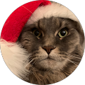Clara profile picture